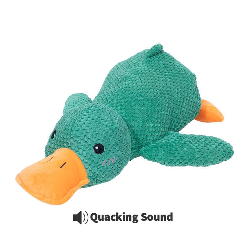 Calming Duck Toy by Wowpetsmar