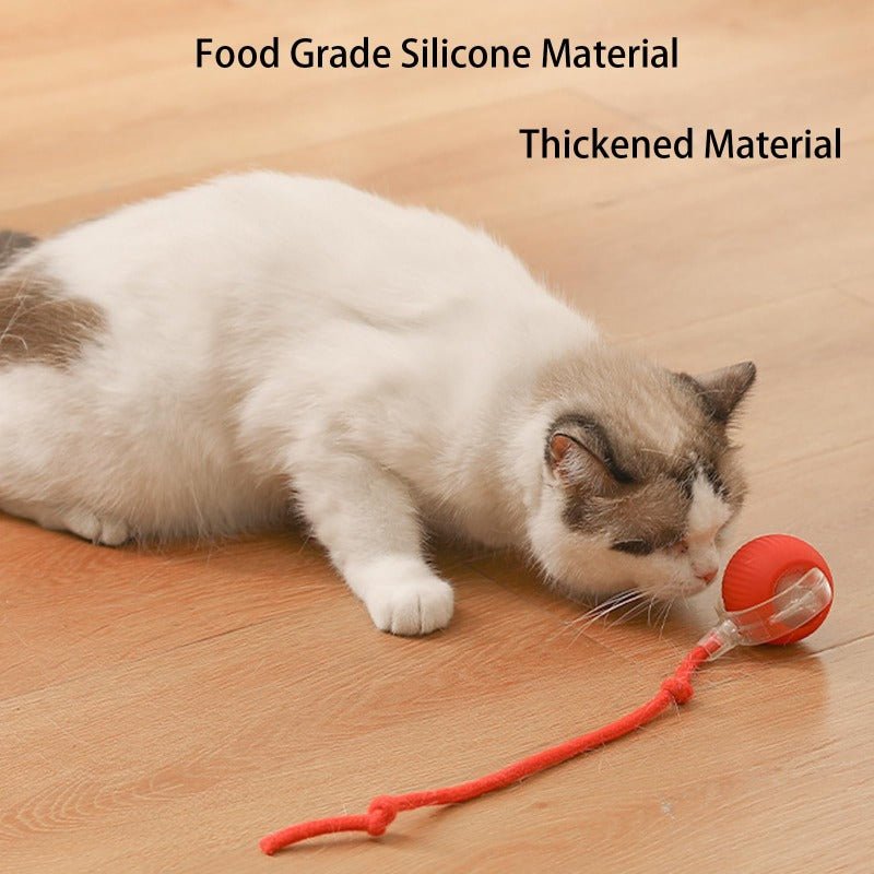 PawBot Smart Pet Ball – Interactive & Pet-Friendly