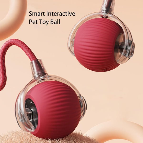 PawBot Smart Pet Ball – Interactive & Pet-Friendly