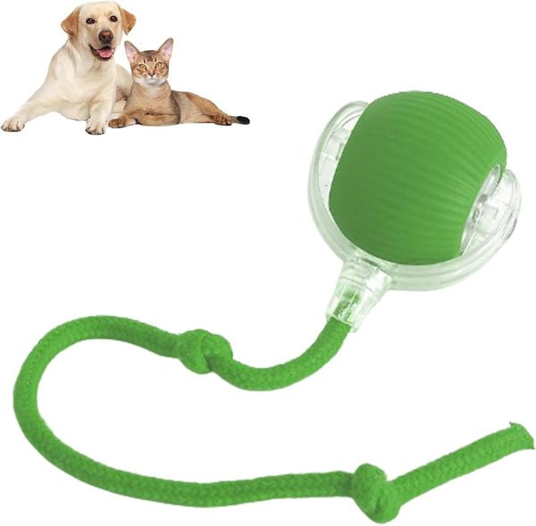 PawBot Smart Pet Ball – Interactive & Pet-Friendly