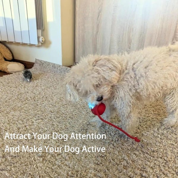 PawBot Smart Pet Ball – Interactive & Pet-Friendly