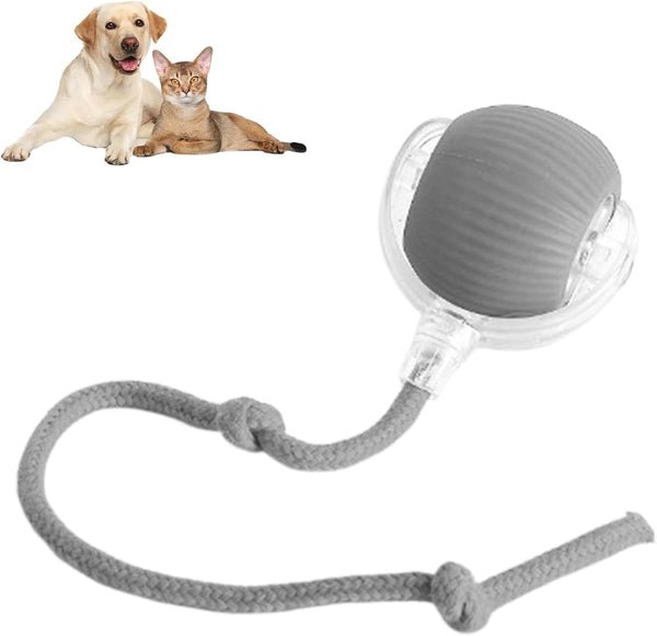 PawBot Smart Pet Ball – Interactive & Pet-Friendly