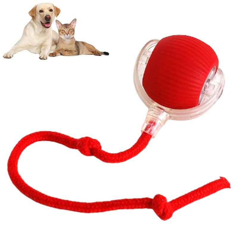 PawBot Smart Pet Ball – Interactive & Pet-Friendly