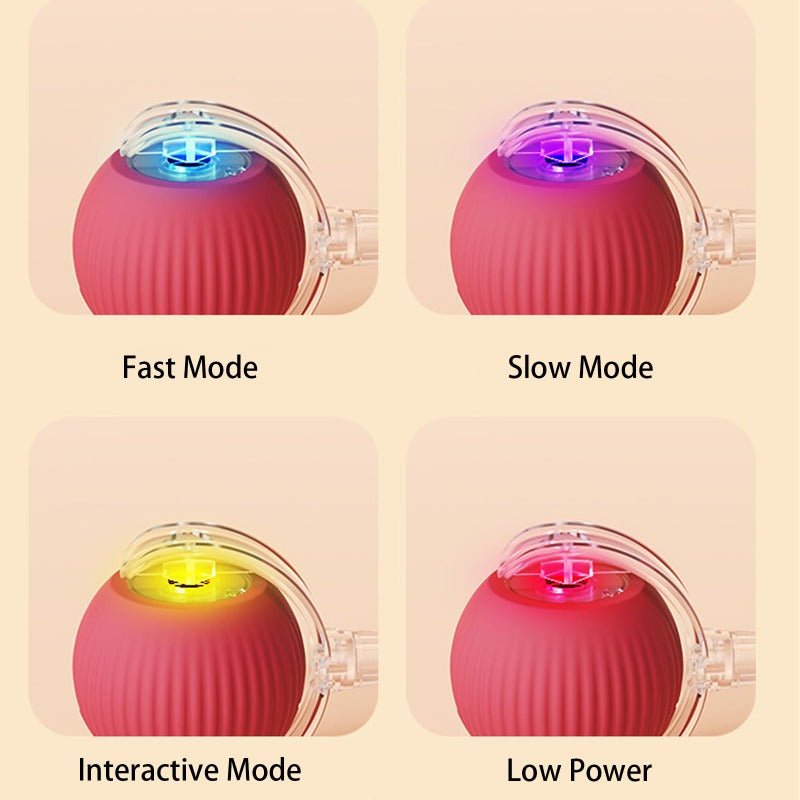 PawBot Smart Pet Ball – Interactive & Pet-Friendly