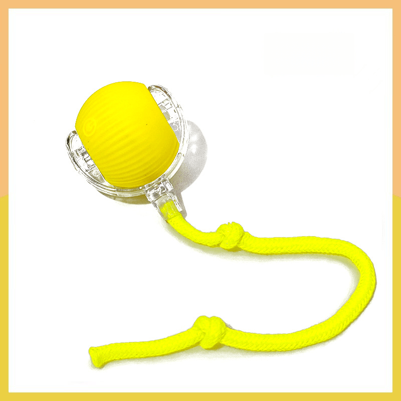 PawBot Smart Pet Ball – Interactive & Pet-Friendly