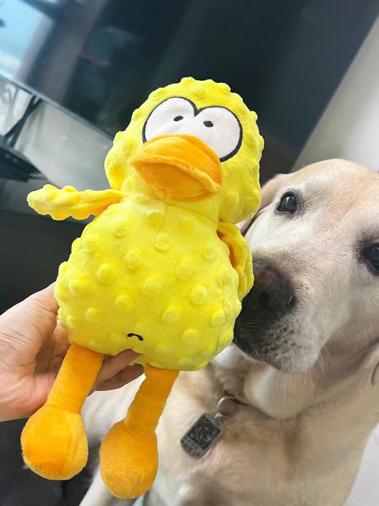 Calming Duck Toy by Wowpetsmar