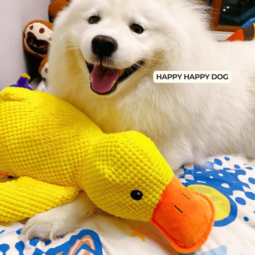 Calming Duck Toy by Wowpetsmar