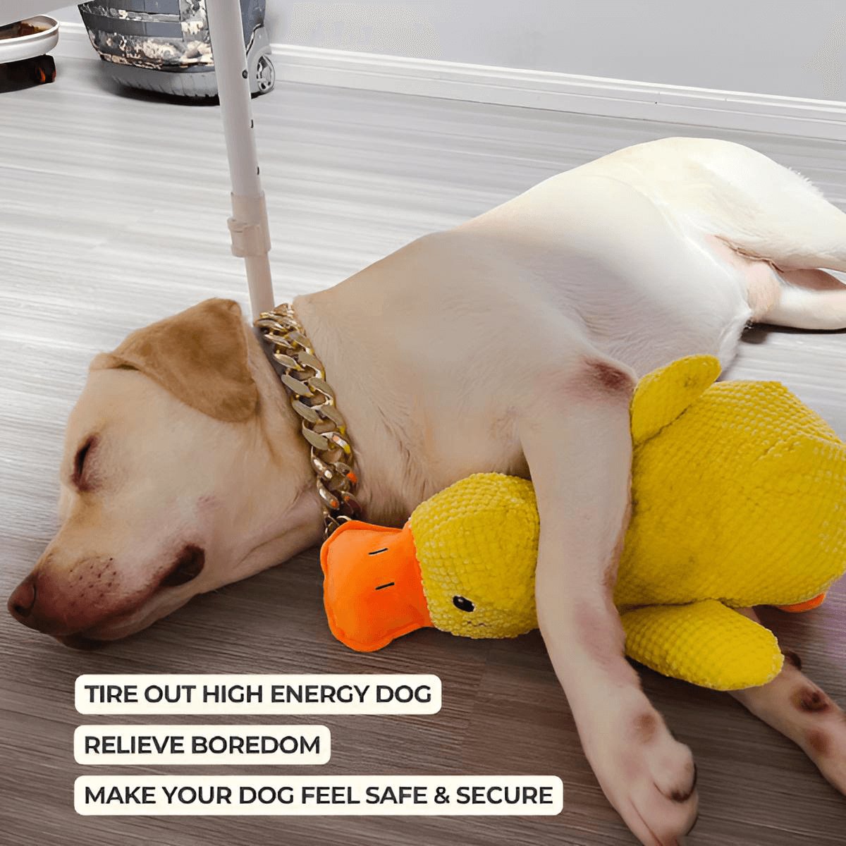 Calming Duck Toy by Wowpetsmar